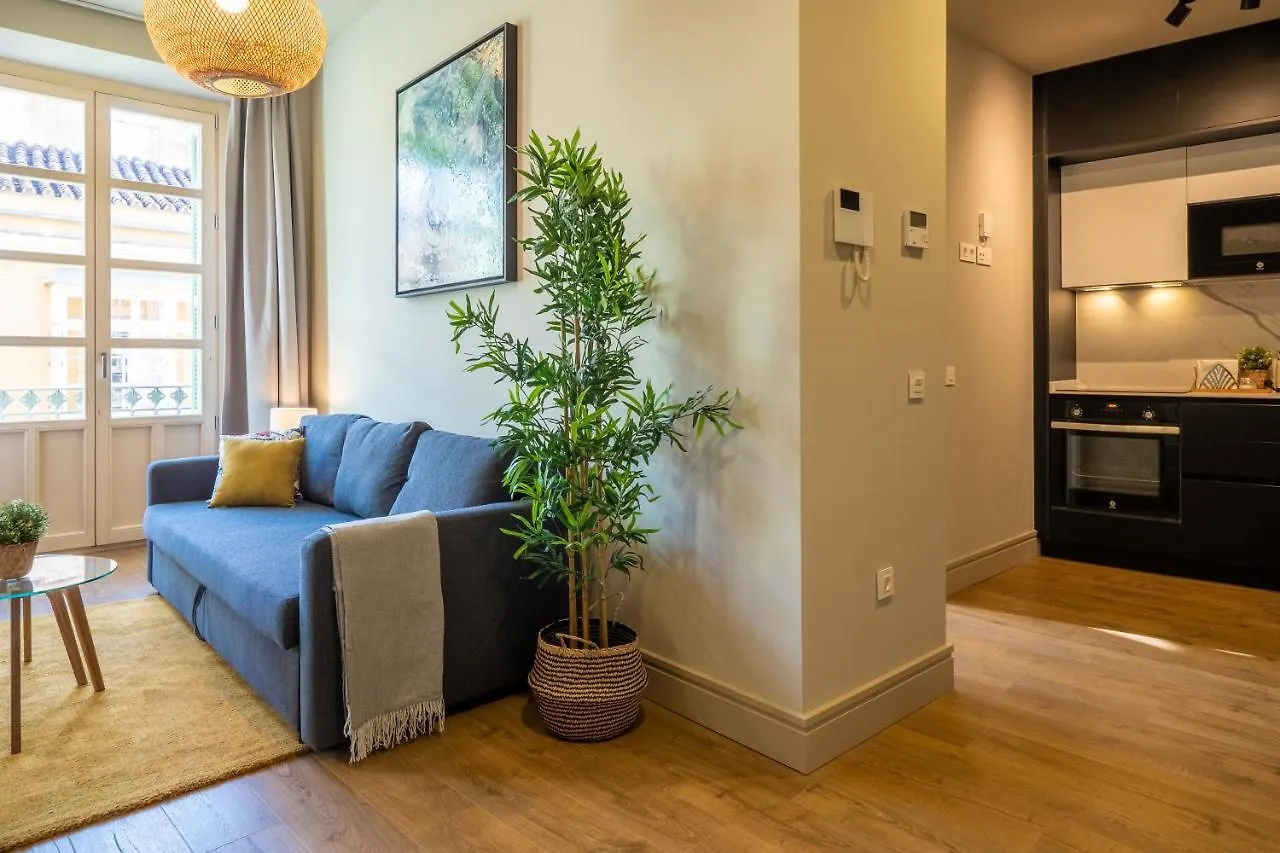 Elegante 3 Dormitorios En Centro Historico Malaga Apartament